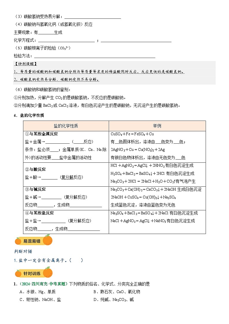 2025年中考化学一轮复习 专题10 常见的盐(讲义)第3页