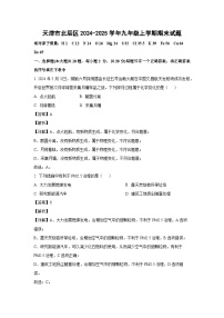 天津市北辰区2024-2025学年九年级(上)期末化学试卷(解析版)