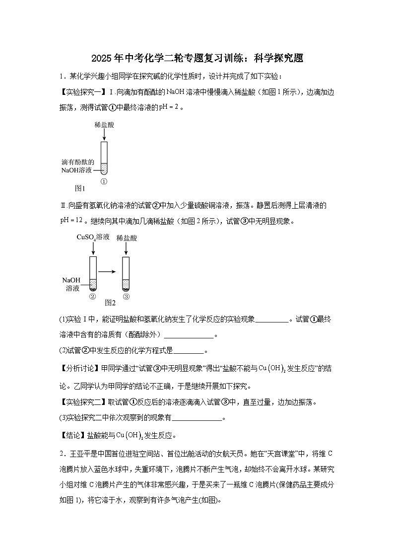 2025年中考化学二轮专题复习训练:科学探究题(含答案)第1页