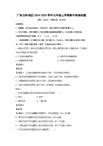 广西玉林地区2024-2025学年九年级(上)期中检测化学试卷（解析版）
