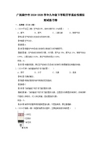 广西南宁市2024-2025学年九年级(下)开学适应性模拟测试练习卷化学试卷（解析版）