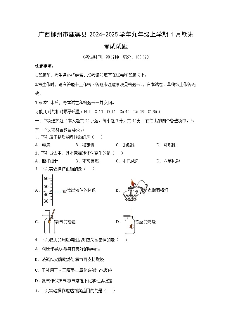 廣西柳州市鹿寨縣2024-2025學(xué)年九年級(jí)(上)1月期末考試化學(xué)試卷第1頁
