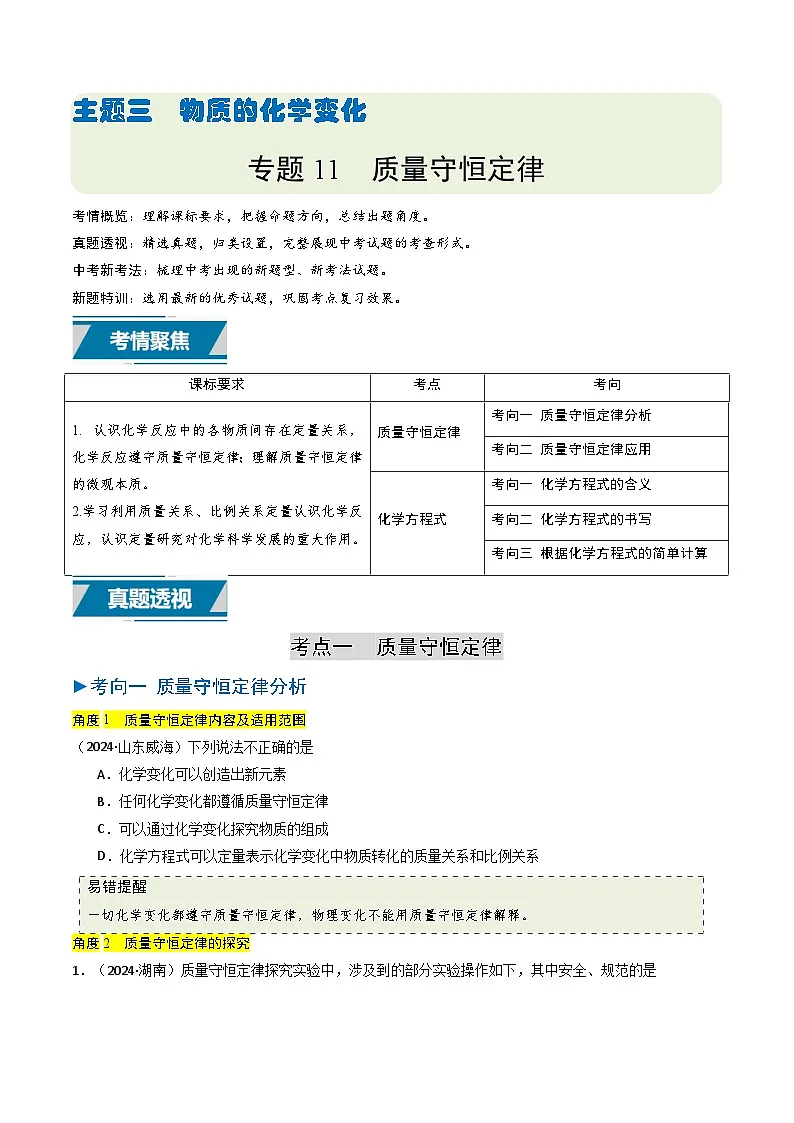专题11 质量守恒定律(原卷版)第1页