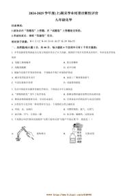 2024～2025学年安徽省阜阳市九年级上1月期末化学试卷(含答案)
