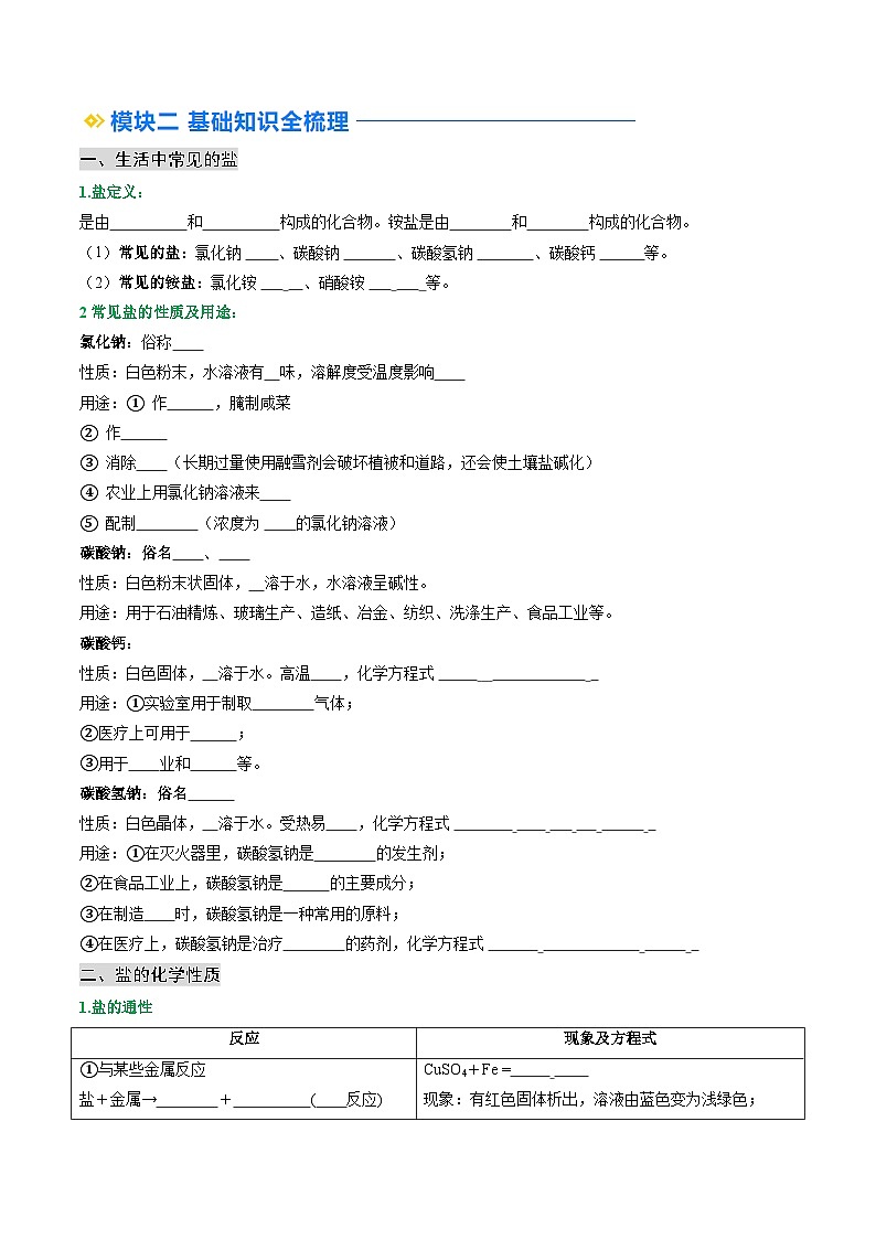 人教版九年级化学寒假讲义②寒假预习-第06讲 常见的盐 (学生版) 第2页
