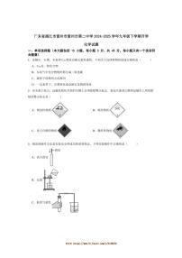 2024～2025学年广东省湛江市雷州市雷州市第二中学九年级下开学化学试卷(含答案)