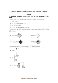 2024~2025学年广东省湛江市雷州市雷州市第二中学九年级下开学化学试卷(含答案)
