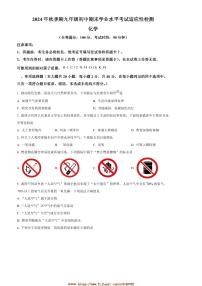 2024～2025学年广西玉林市九年级上期末化学试卷(含答案)