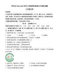 山东省临沂市罗庄区2024-2025学年九年级上学期期末化学试题(原卷版+解析版)