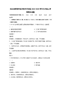 2024~2025学年河北省邯郸市经济技术开发区九年级上学期期末化学试卷（解析版）