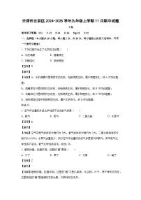 2024~2025学年天津市北辰区九年级上学期11月期中化学试卷（解析版）