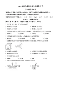 江苏省泰州市兴化市2024-2025学年九年级上学期期末化学试题（原卷版+解析版）