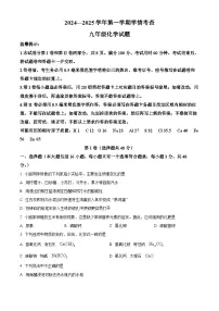 山东省滨州市邹平市2024-2025学年九年级上学期期末化学试题（原卷版+解析版）
