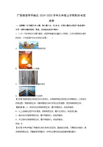 广西贵港市平南县2024-2025学年九年级上学期期末化学试卷（解析版）