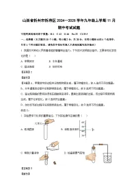 2024~2025学年山西省忻州市忻府区九年级上学期11月期中考试化学试卷(解析版)
