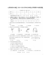2024~2025学年山西省忻州地区九年级上学期期中考试（扫描版）化学