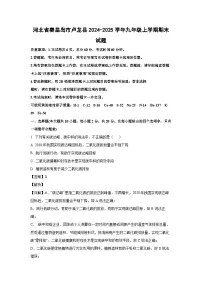 2024~2025学年河北省秦皇岛市卢龙县九年级上学期期末化学试卷(解析版)