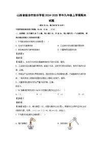 2024~2025学年山西省临汾市部分学校九年级上学期期末化学试卷（解析版）