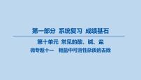 22-第十单元 微专题十一 粗盐中可溶性杂质的去除课件-2025年中考化学一轮复习
