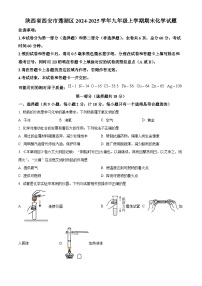 陕西省西安市莲湖区2024-2025学年九年级上学期期末化学试题（原卷版+解析版）