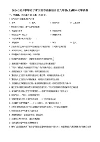 辽宁省大连市高新经开区2024-2025学年九年级上学期期末化学试题（原卷版+解析版）