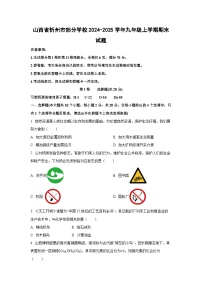 2024-2025学年山西省忻州市部分学校九年级上学期期末化学试卷