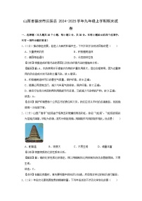 2024-2025学年山西省临汾市洪洞县九年级上学期期末化学试卷（解析版）