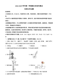 山东省烟台龙口市2024-2025学年九年级上学期期末化学试题（原卷版+解析版）