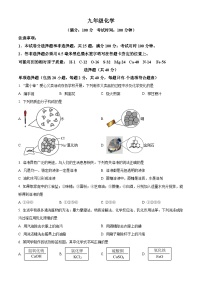 江苏省苏州市高新区第一初级中学2024-2025学年九年级下学期3月月考化学试题（原卷版+解析版）