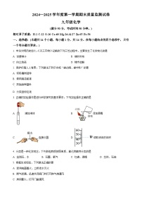 河南省驻马店市正阳县2024-2025学年九年级上学期1月期末化学试题（原卷版+解析版）