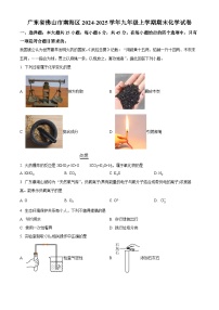 广东省佛山市南海区2024-2025学年九年级上学期期末化学试题（原卷版+解析版）
