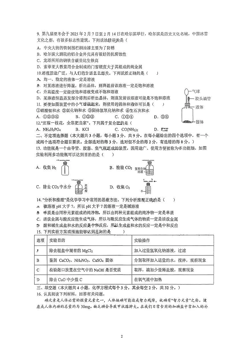 湖南省长沙市雅礼教育集团2024-2025学年九年级下学期3月联考化学试题第2页