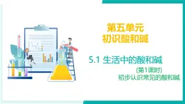 5.1 生活中的酸和堿（第1課時）- 初中化學(xué)九年級下冊同步教學(xué)課件+同步練習(xí)（滬教版·上海2024）