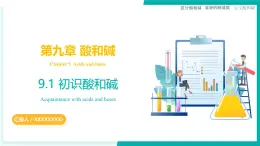9.1 初識(shí)酸和堿（同步課件）2025學(xué)年九年級(jí)化學(xué)下冊(cè)（北京版2024）