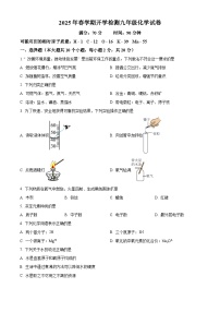 江苏省盐城市盐都区2024-2025学年九年级下学期开学化学试题（原卷版+解析版）