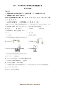 2024~2025学年河南省平顶山市叶县九年级上1月期末化学试卷(含答案)