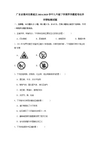 广东省惠州市惠城区2024-2025学年九年级下册开学检测化学模拟学情检测试题（附答案）