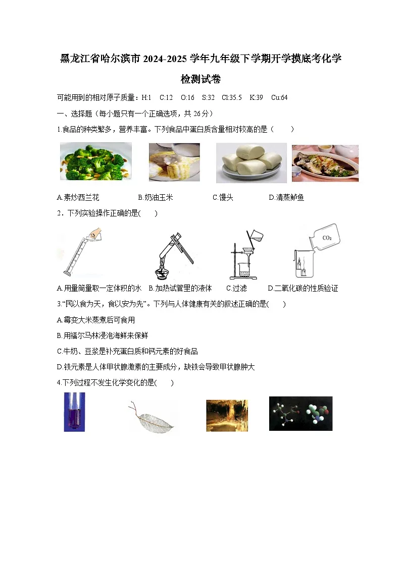 黑龙江省哈尔滨市2024-2025学年九年级下册开学寒假调研测试化学质量检测试卷(附答案)第1页