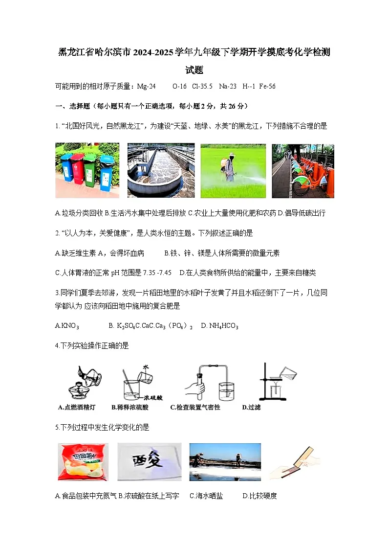 黑龙江省哈尔滨市2024-2025学年九年级下册开学摸底考化学检测试题(附答案)第1页