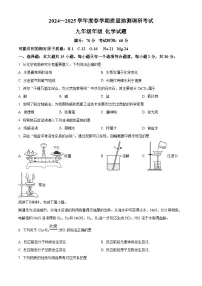 江苏省盐城市东台市第五教育联盟2024-2025学年九年级下学期3月月考化学试题（原卷版+解析版）