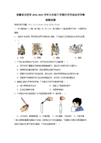 安徽省合肥市2024-2025学年九年级下册开学考试化学学情检测试题（附答案）