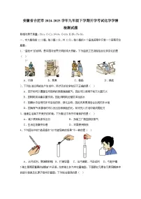 安徽省合肥市2024-2025学年九年级下册开学考试化学学情检测试题(附答案)