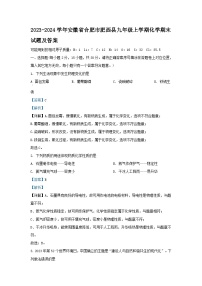 2023-2024学年安徽省合肥市肥西县九年级上学期化学期末试题及答案