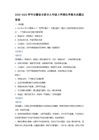 2023-2024学年安徽省合肥市九年级上学期化学期末试题及答案