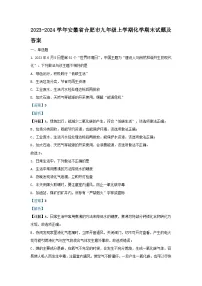 2023-2024学年安徽省合肥市九年级上学期化学期末试题及答案