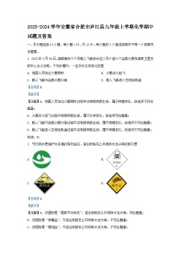 2023-2024学年安徽省合肥市庐江县九年级上学期化学期中试题及答案