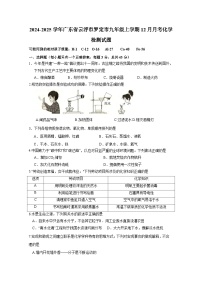 2024-2025学年广东省云浮市罗定市九年级上学期12月月考化学检测试题（附答案）