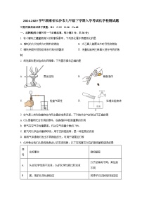 2024-2025学年湖南省长沙市九年级下学期入学考试化学检测试题(附答案)