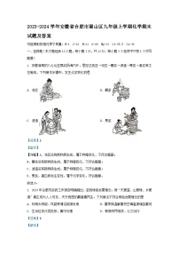 2023-2024学年安徽省合肥市蜀山区九年级上学期化学期末试题及答案