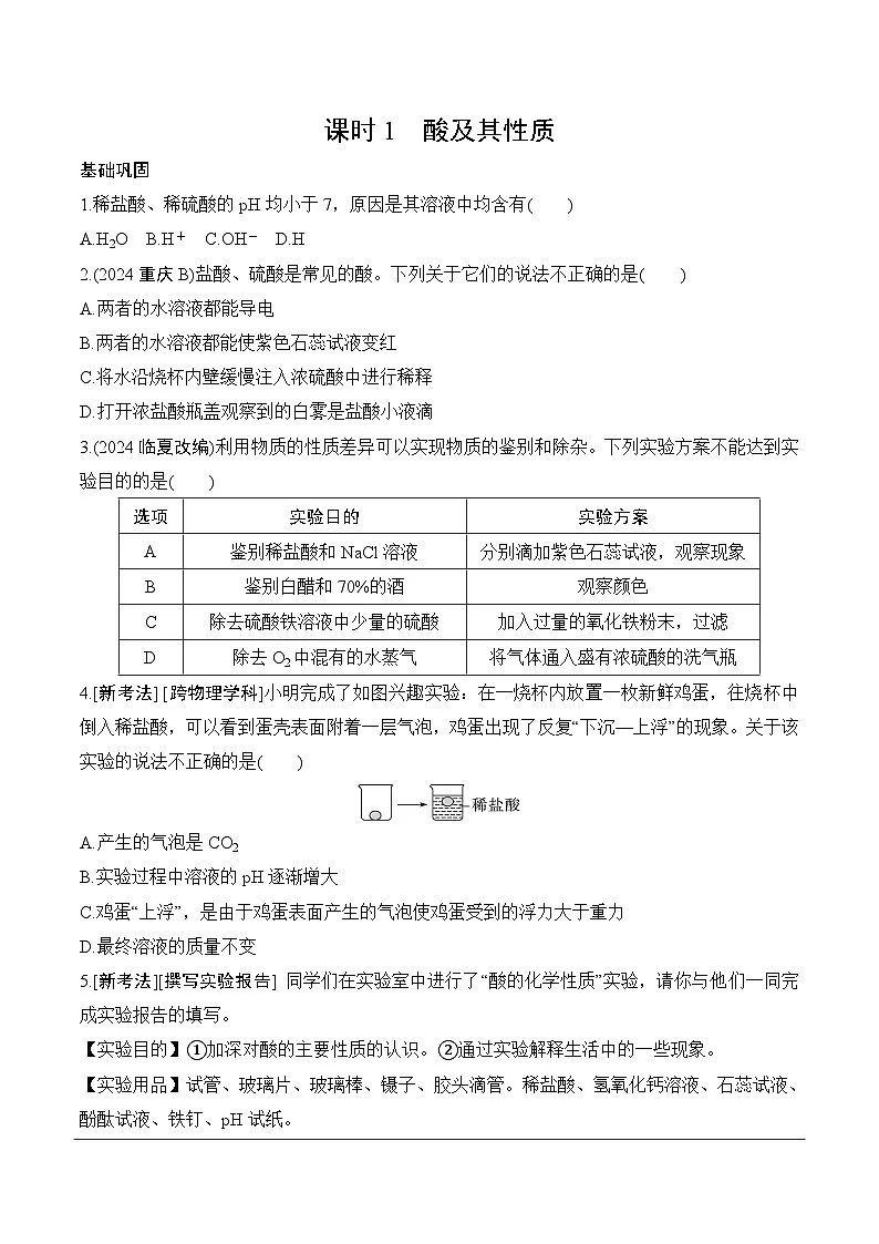 13.第八单元 课时1 酸及其性质分层作业 2025年中考化学鲁教版第1页